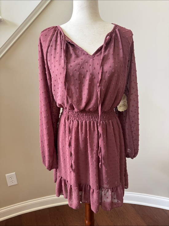 Altar'd State Dresses & Skirts - Altar'd State Dusty Rose Swiss Dot Long Sleeve Tie Neck Dress